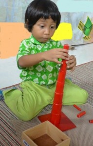 Material Montessori ; Knobless Cylinders