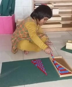 Montessori, Program Baru AKC 2015-2016