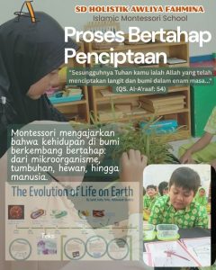 Great Lesson 2: The Coming of Life